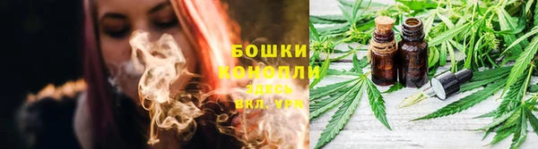 эйфоретик Новозыбков