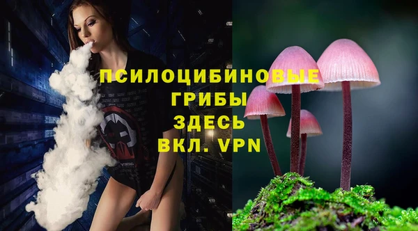 MESCALINE Алзамай
