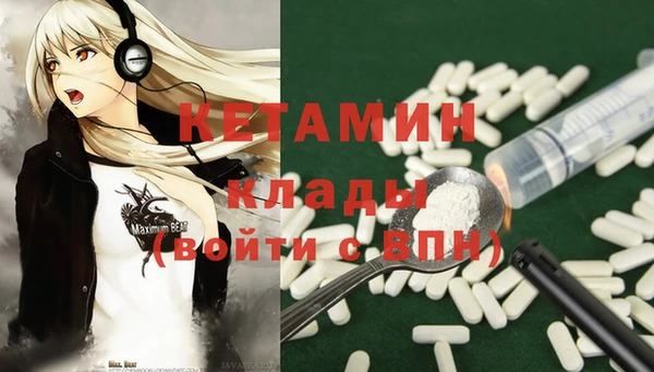 крисы Алексин