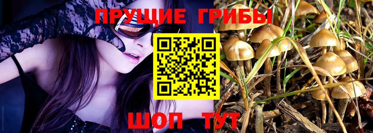 Галлюциногенные грибы прущие грибы Усть-Лабинск