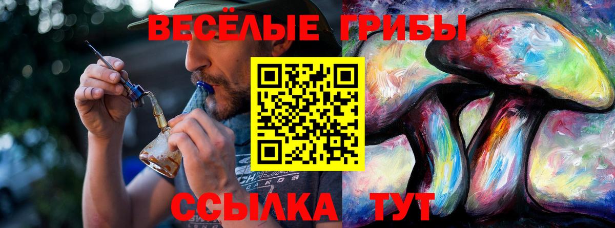 Усть-Лабинск  Галлюциногенные грибы мицелий  Вход с VPN 